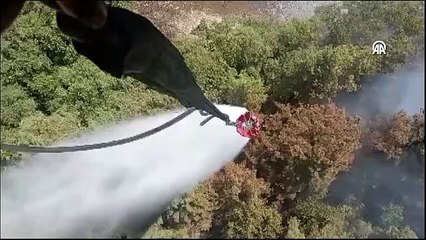 Köyceğiz'de ormanlık alanda yangın çıktı