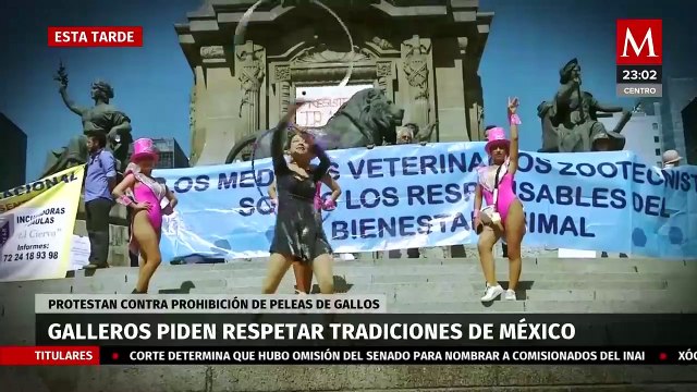 Galleros piden respetar tradiciones en México. Selene Flores, 13 de julio de 2023