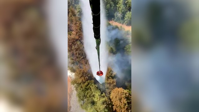 Muğla’da orman yangını: Havadan ve karadan müdahale