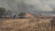 El incendio a las afueras de Atenas sigue descontrolado y quema las primeras casas