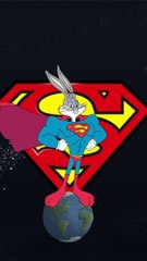 Looney Tunes & DC Mash-Up