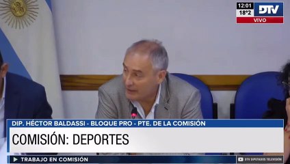 La Comisión de Deportes avanzó con una serie de proyectos de resolución y declaración