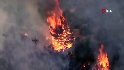 ÇANAKKALE'DEKİ ORMAN YANGININDA 29.SAATE GİRİLDİ