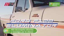 Ford F100 Eluminator