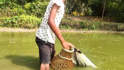 Amazing big fish hunting with incredible bamboo cages| Fishing best with the polo