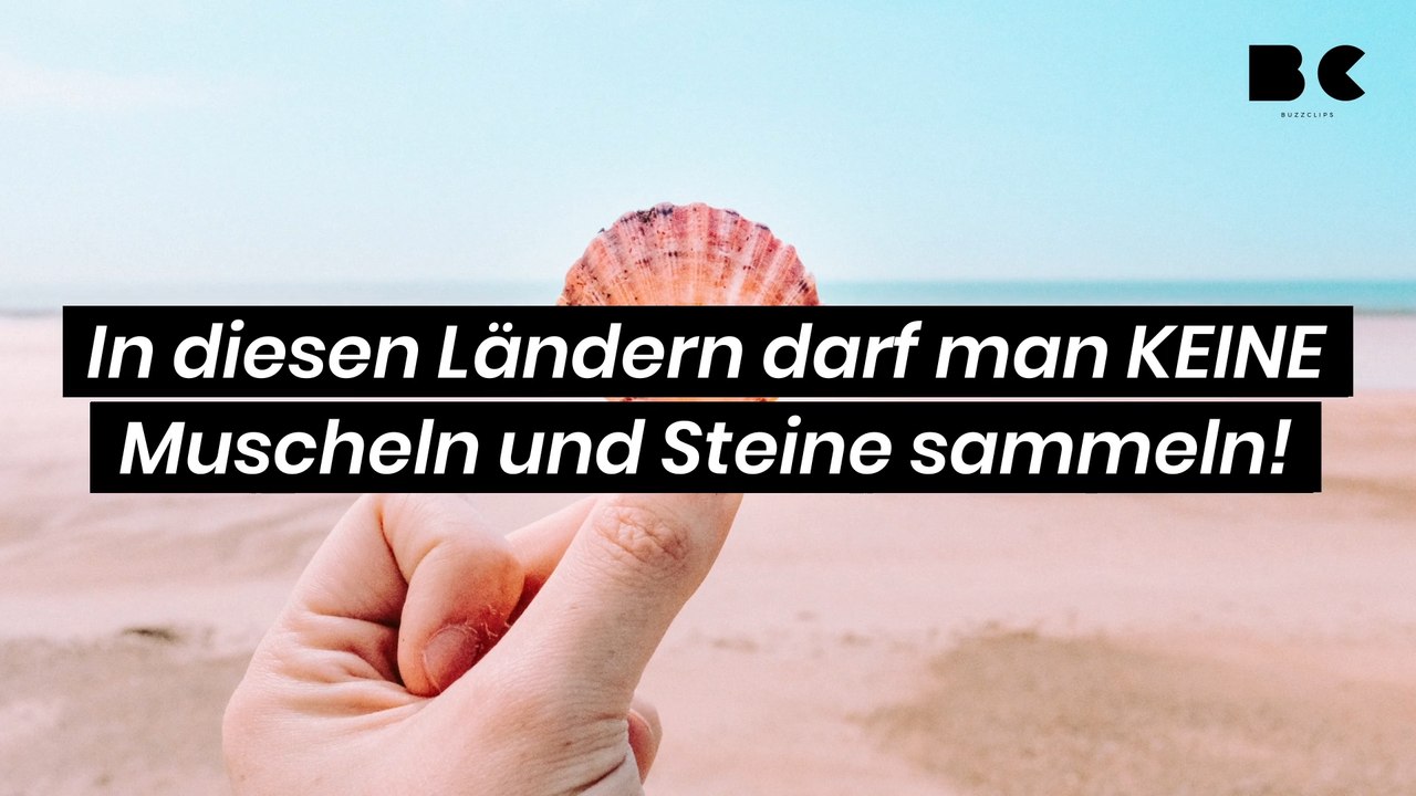 Urlaub: In diesen Ländern darf man KEINE Muscheln und Steine sammeln!