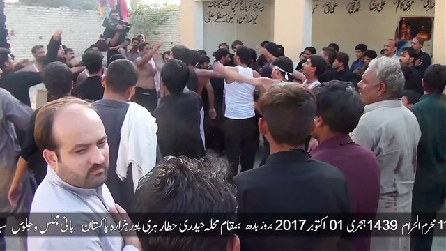 Ali Zawar Hussaini Best Live Noha 2023 24-1444 | Muharram 2023 | Ali Zawar Hussaini | Majlis 2023