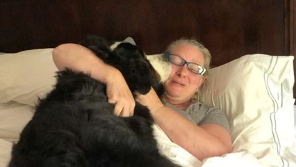 Family Recreate Mom's Puppy Surprise With 130 Pound Grown Up Dog | Wild-ish TV