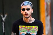 Zayn Malik: Haustiere bekommen keine Namen mehr