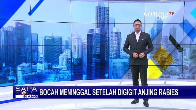 Bocah 6 tahun Meninggal Dunia Akibat Digigit Anjing Rabies di Sumatera Utara