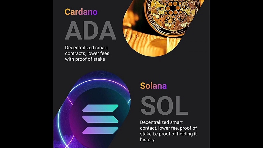 Top Cryptocurrencies To Invest