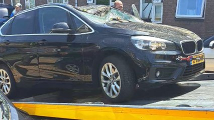 Aftermath of a storm that sent a tree crashing down on car *Storm Damage*