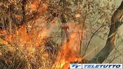 Video News - AMBIENTE: PIU' REATI, MENO DENUNCE