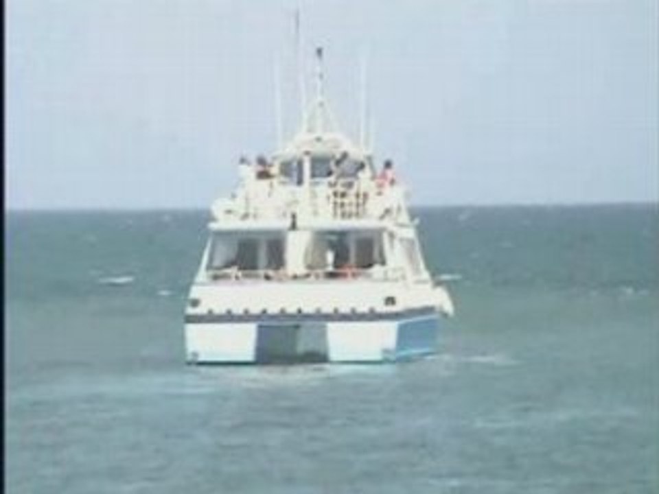 La croaziere s'amuze