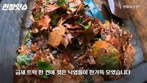 [현장잇슈] 강남 그 물난리 뒤…다시 가보니 