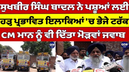 Sukhbir Singh Badal ਨੇ ਪਸ਼ੂਆਂ ਲਈ ਹੜ੍ਹ ਪ੍ਰਭਾਵਿਤ ਇਲਾਕਿਆਂ 'ਚ ਭੇਜੇ ਟਰੱਕ |OneIndia Punjabi