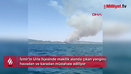 İzmir'de makilik bölgede yangın