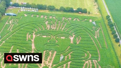 Tribute to Tutankhamun has been created out of maize