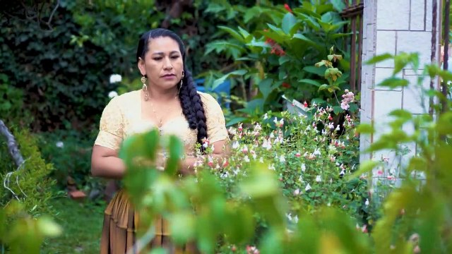 ERLINDA CRUZ LAS CONSENTIDAS Y LOS SOLITARIOS AMANTES EXITO 2023✓✓✓