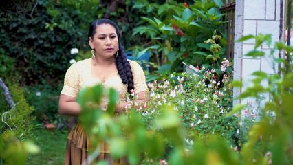 ERLINDA CRUZ LAS CONSENTIDAS Y LOS SOLITARIOS AMANTES EXITO 2023✓✓✓
