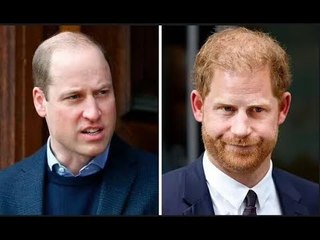 Il cenno del principe Harry alla rottura con William prima di incontrare Meghan riemerge in una clip