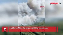 Milas'ta yangına müdahale sürüyor