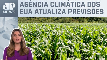 Kellen Severo: Super El Niño a caminho? Agro monitora efeitos