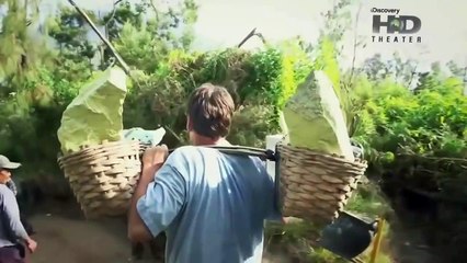 Entenda Como o Vulcão Krakatoa Moldou a Terra 🌋