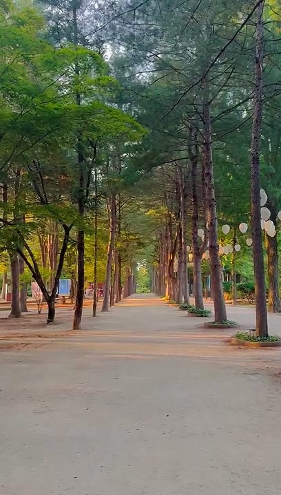 NAMI ISLAND @ 7:00pm