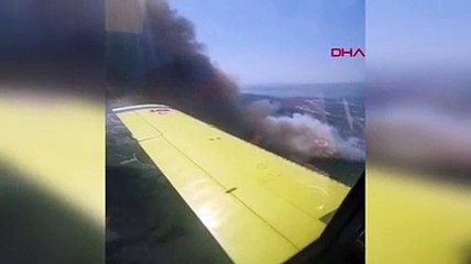 Milas'ta makilik yangını, ormana sıçradı