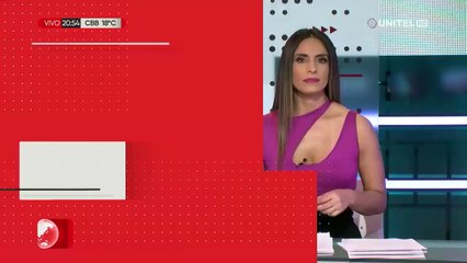 Hallan cinco cóndores envenenados a orillas del río Pilcomayo