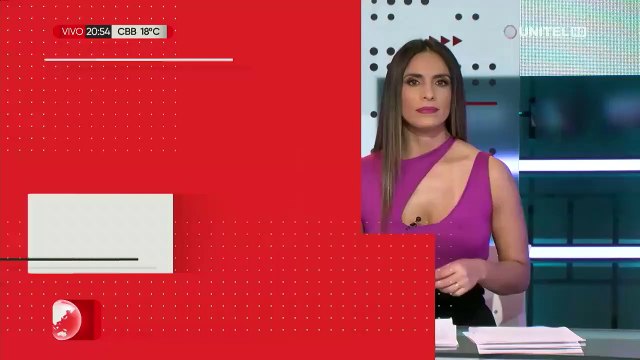 Hallan cinco cóndores envenenados a orillas del río Pilcomayo