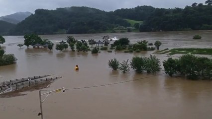 [제보영상] 충남 공주시, 급류에 마스코트 '고마곰'도 떠내려가 / YTN