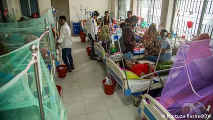 Bangladesh confronts surge in dengue cases