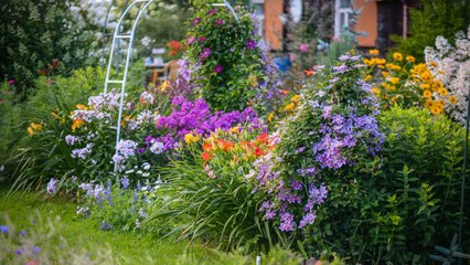 Will Wildfire Smoke Harm Your Outdoor Plants?