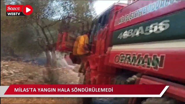 Milas Bodrum Havlimanı yakınlarında çıkan yangın iki mahalleyi tehdit ediyor