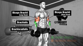 Build Huge Biceps With 6 Best Exercises