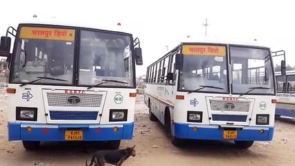 500 नई बसों की खरीद करेगा रोडवेज प्रबंधन