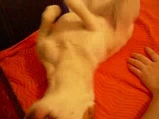 Sukie jeux avant dodo