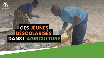 Burkina Faso : Ces jeunes déscolarisés dans l’agriculture