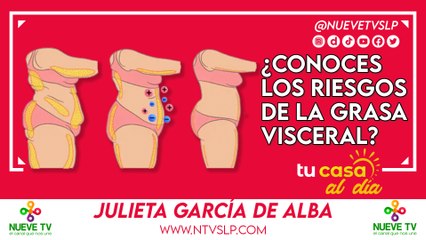 ¿Conoces los riesgos de la grasa visceral?