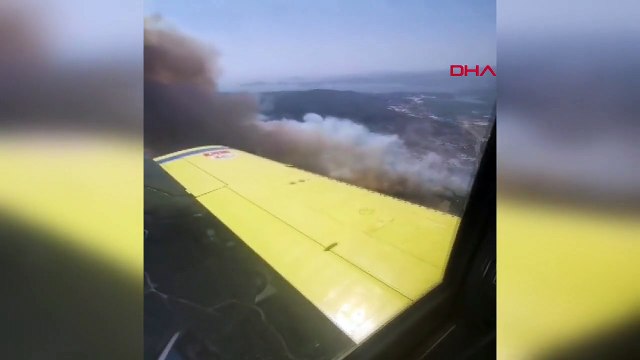 MİLAS'TA MAKİLİK YANGINI; ALEVLER ORMANA ULAŞTI