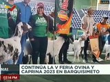 Productores de Lara participan en la V Feria Ovina y Caprina 2023