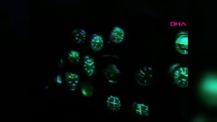 L'incendie de Muğla a été partiellement maîtrisé