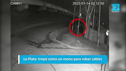 La Plata: trepó como un mono para robar cables