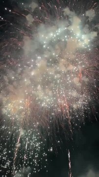 VIDEO. 14-Juillet à Marseille : le feu d'artifice a illuminé la ville depuis le Vieux-Port