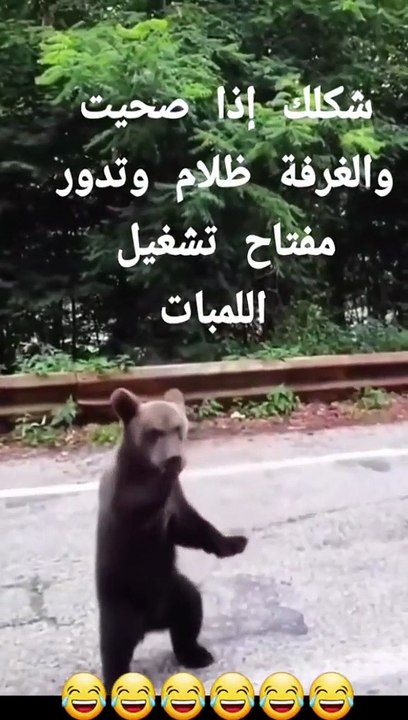 لما تصحى من النوم وتدور على زر النور
