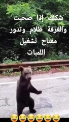 لما تصحى من النوم وتدور على زر النور