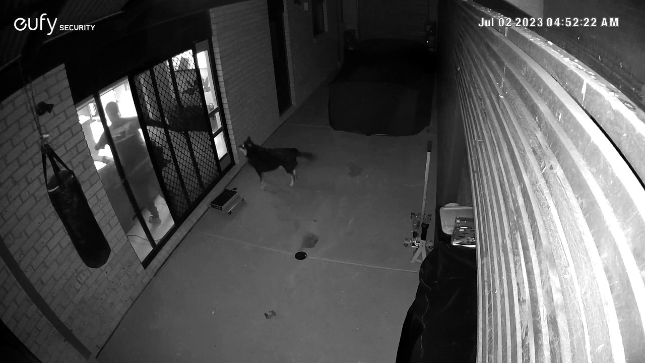 Man Slips While Letting the Dog In
