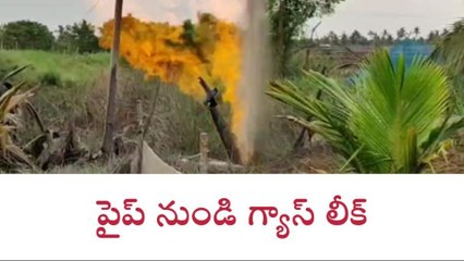 రాజోలు: పైప్ లైన్ నుంచి గ్యాస్ లీక్... ఎగసిపడుతున్న మంటలు